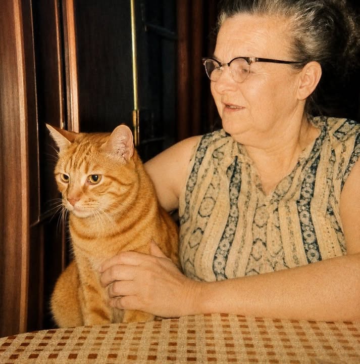 Eleanor's memory lives on through a love of cats